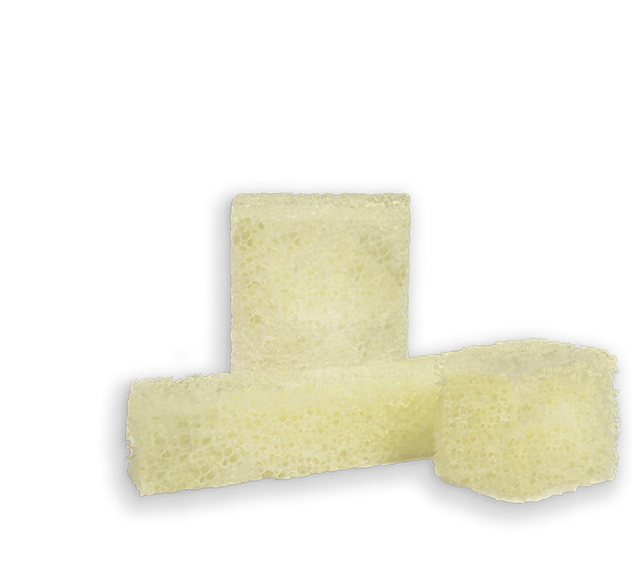 sponge
