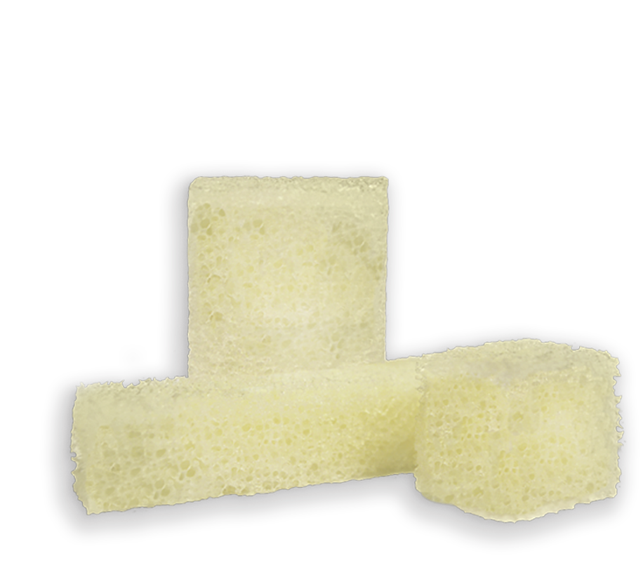 SPONGE sponge - SPONGE